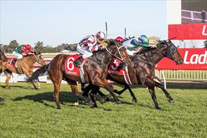 Tahi toughs it out at Sale